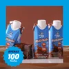BEBIDA PRONTA SABOR CHOCOLATE COM WHEY 250ML MAIS MU